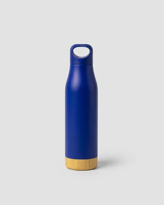 Thermal Flask TF014, 550 ml, Blue, front