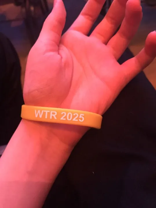 Custom Silicone Wristband, adult/youth