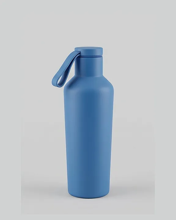 Singing Thermal Water Bottle, 500 ml